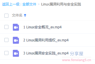 Linux漏洞利用与安全实践.png